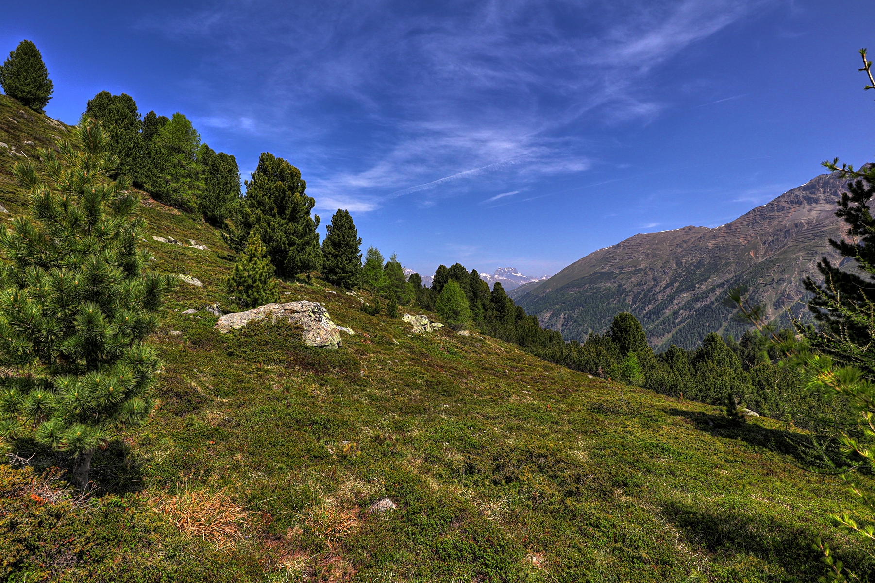 IMG_6270-hdr.jpg