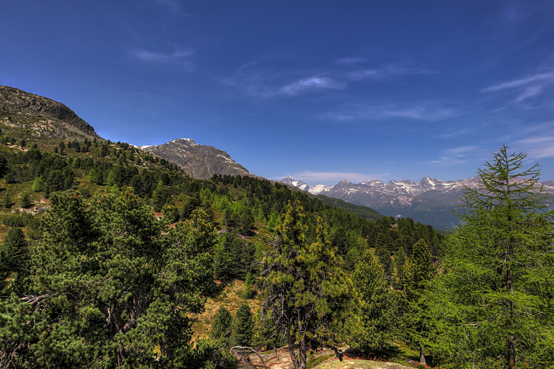 IMG_6276-hdr.jpg