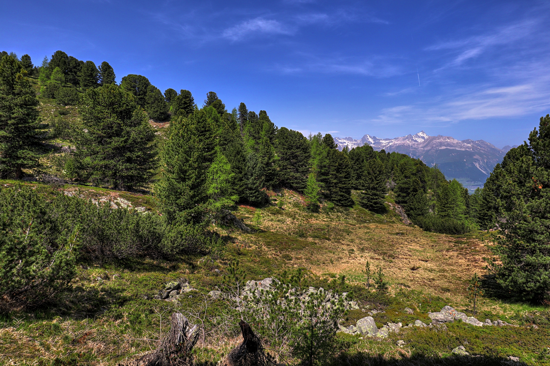 IMG_6279-hdr.jpg