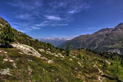 IMG_6267-hdr.jpg