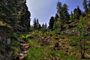 IMG_6282-hdr.jpg