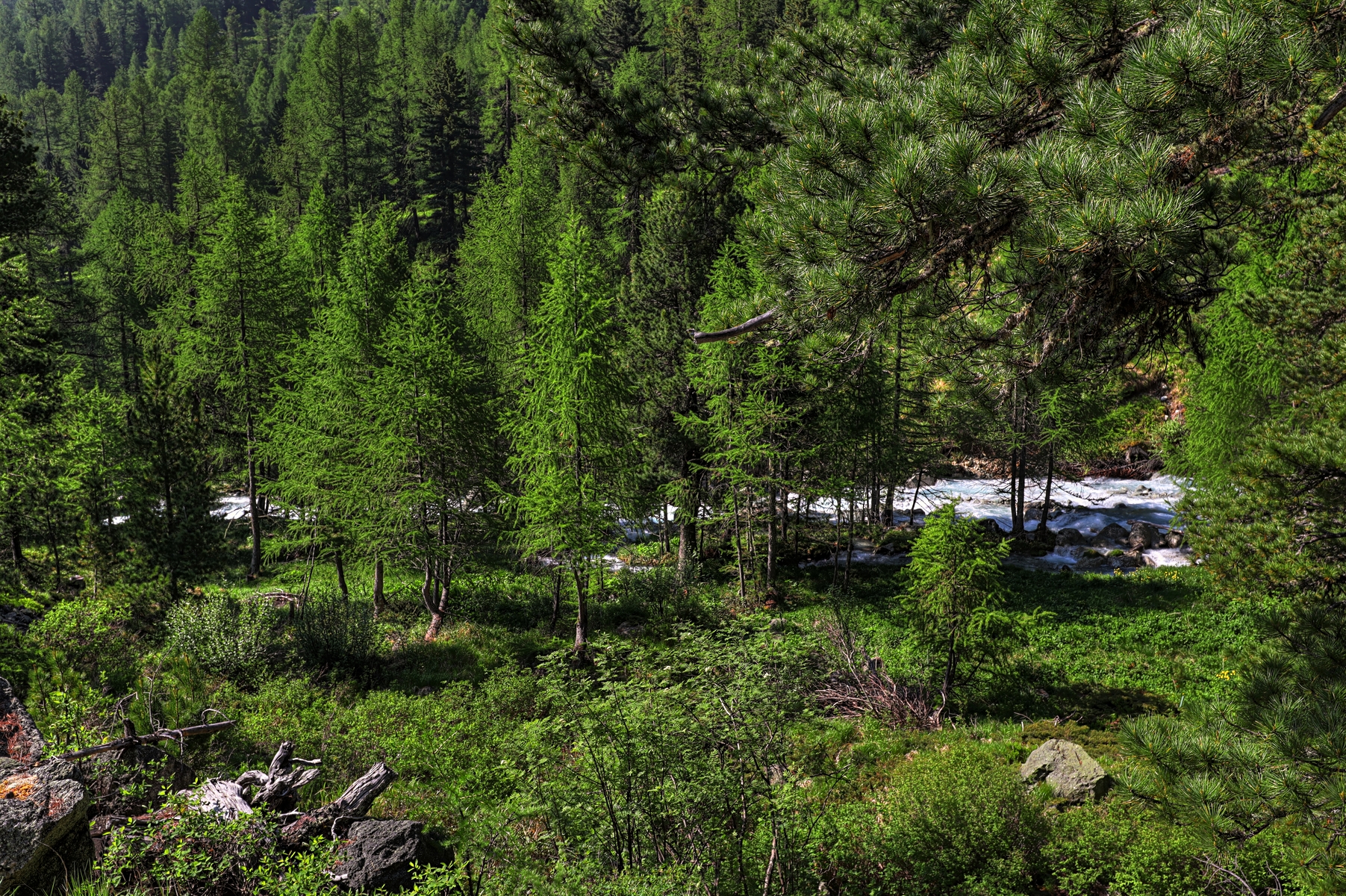 IMG_6291-hdr.jpg