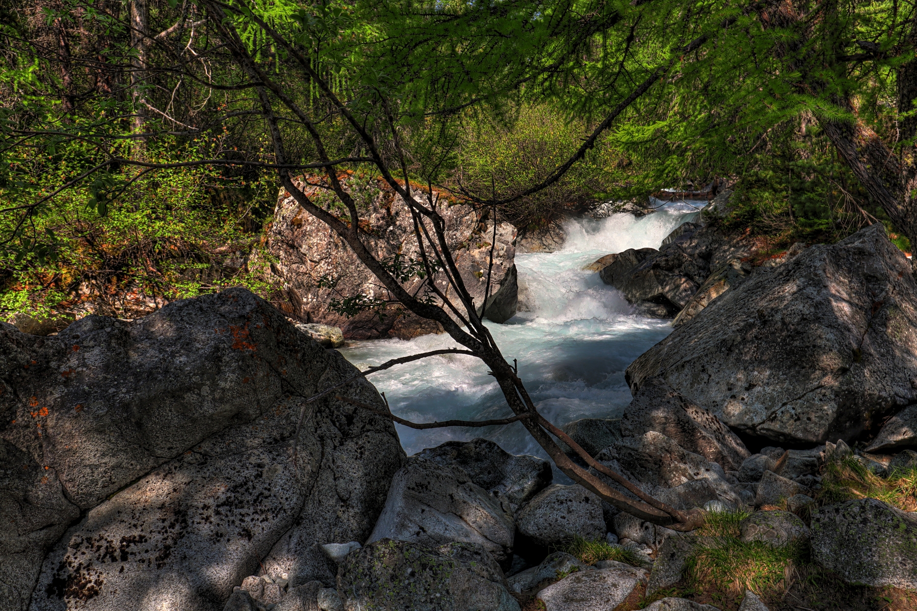 IMG_6300-hdr.jpg