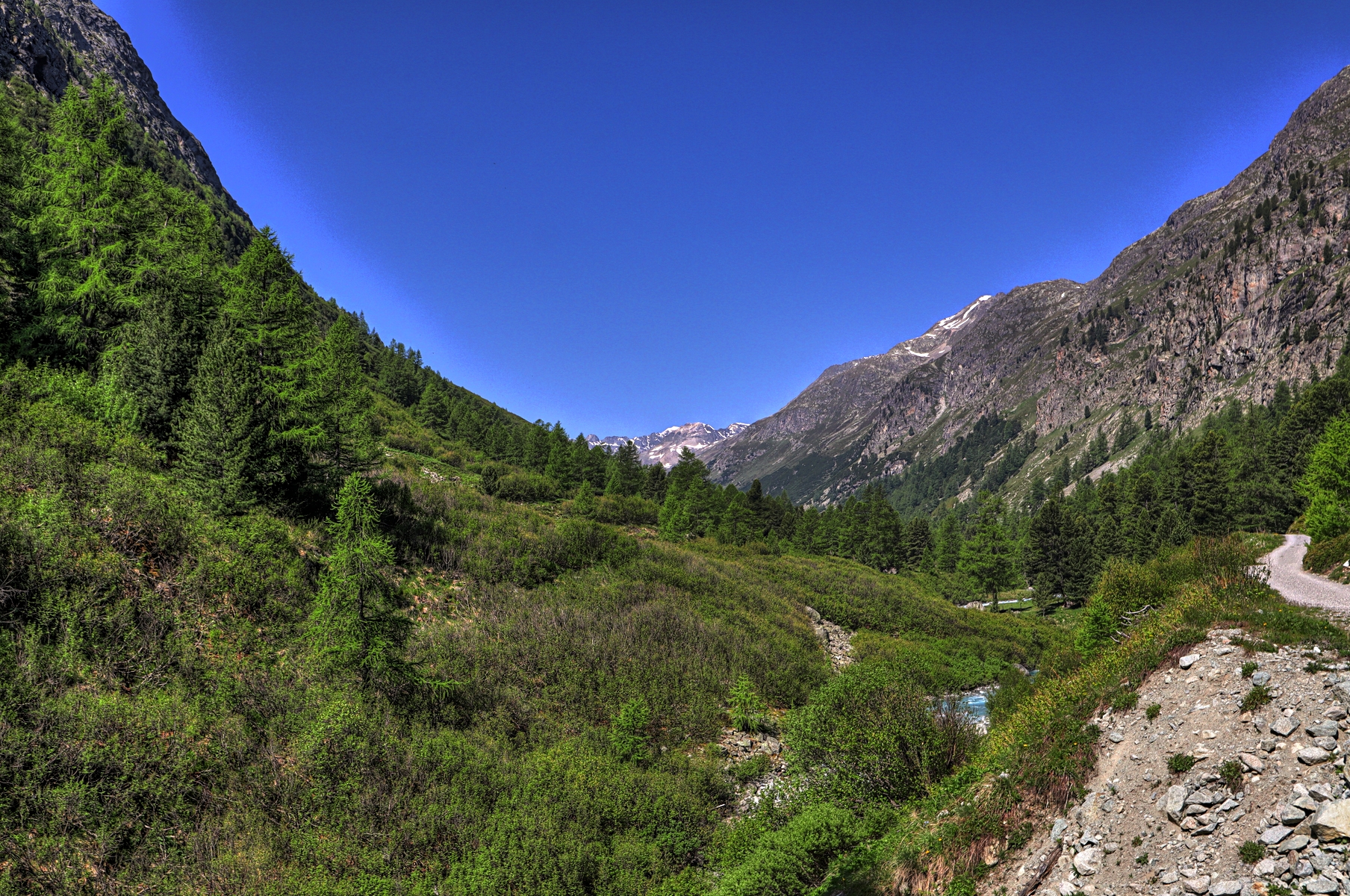 IMG_6303-hdr.jpg