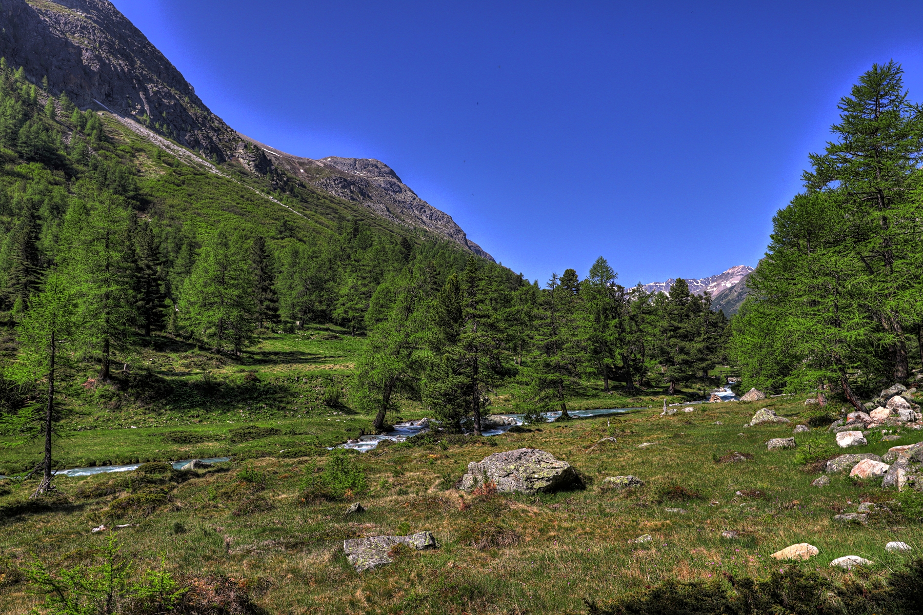 IMG_6318-hdr.jpg