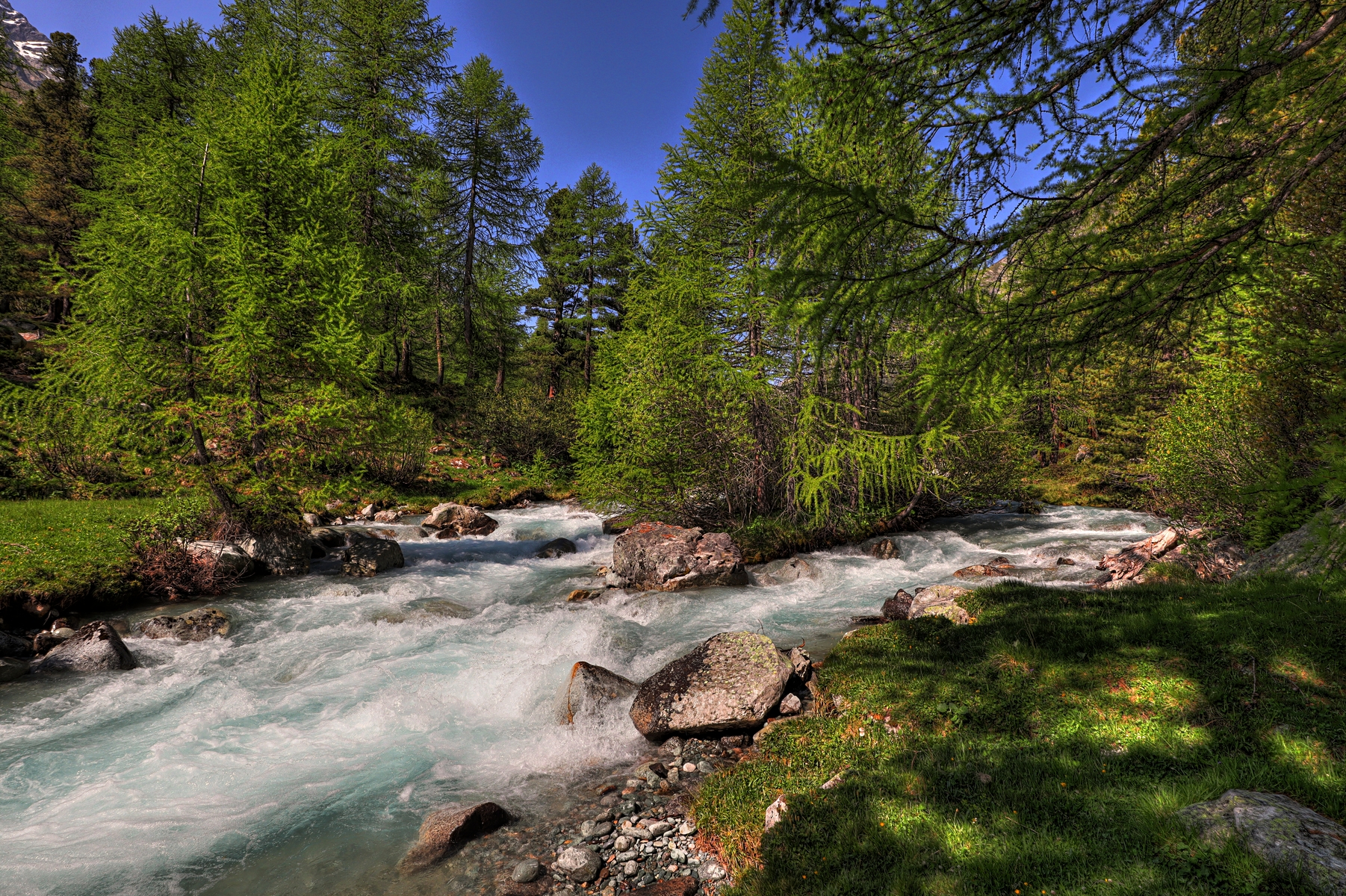 IMG_6330-hdr.jpg