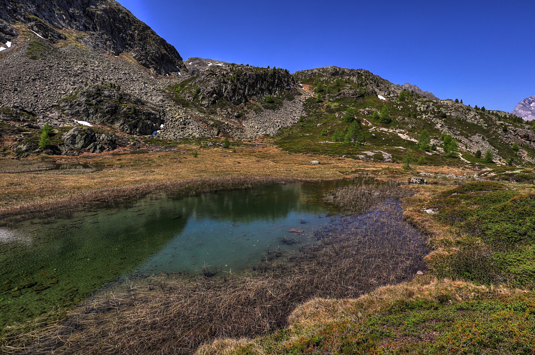 IMG_6432-hdr.jpg
