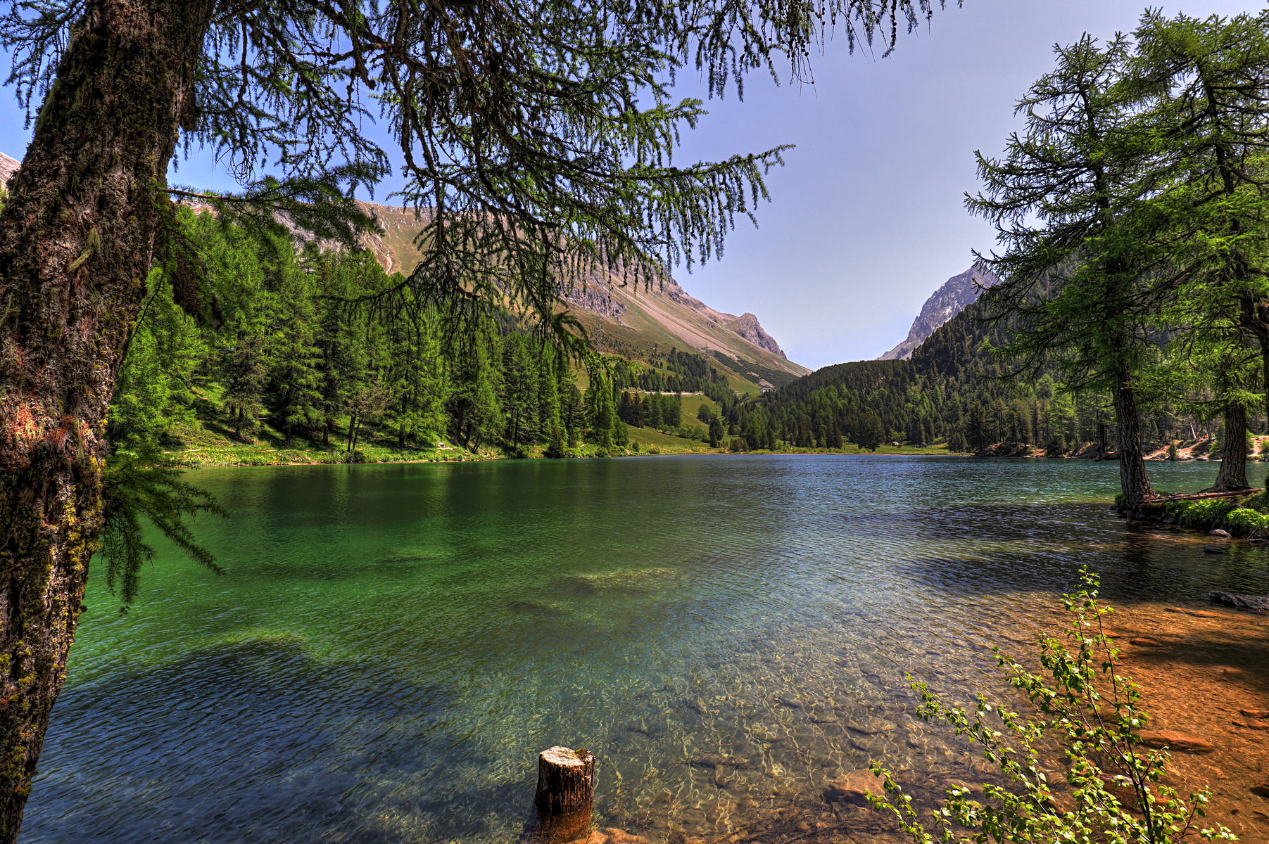 IMG_6489-hdr.jpg