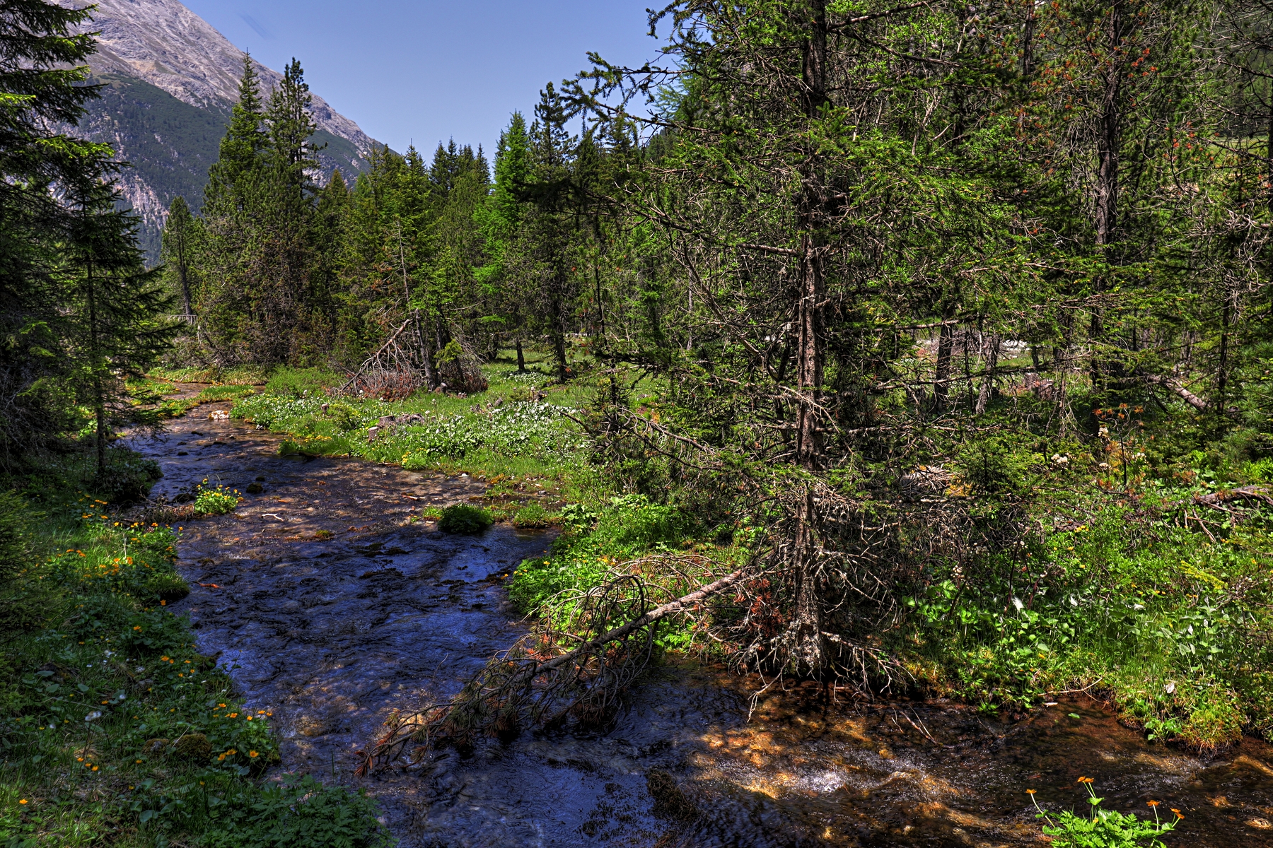 IMG_6501-hdr.jpg