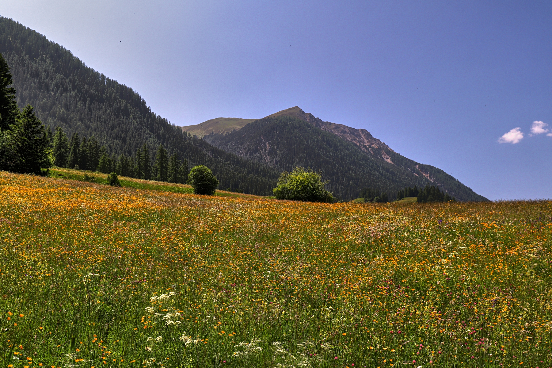 IMG_6516-hdr.jpg