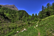 IMG_6294-hdr.jpg