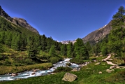 IMG_6309-hdr.jpg