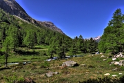 IMG_6318-hdr.jpg