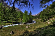 IMG_6321-hdr.jpg