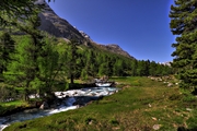 IMG_6324-hdr.jpg