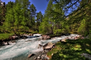 IMG_6330-hdr.jpg