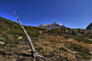 IMG_6408-hdr.jpg