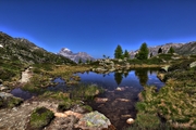 IMG_6447-hdr.jpg
