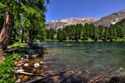 IMG_6486-hdr.jpg
