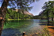 IMG_6489-hdr.jpg