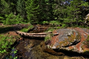 IMG_6495-hdr.jpg
