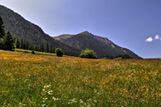 IMG_6516-hdr.jpg