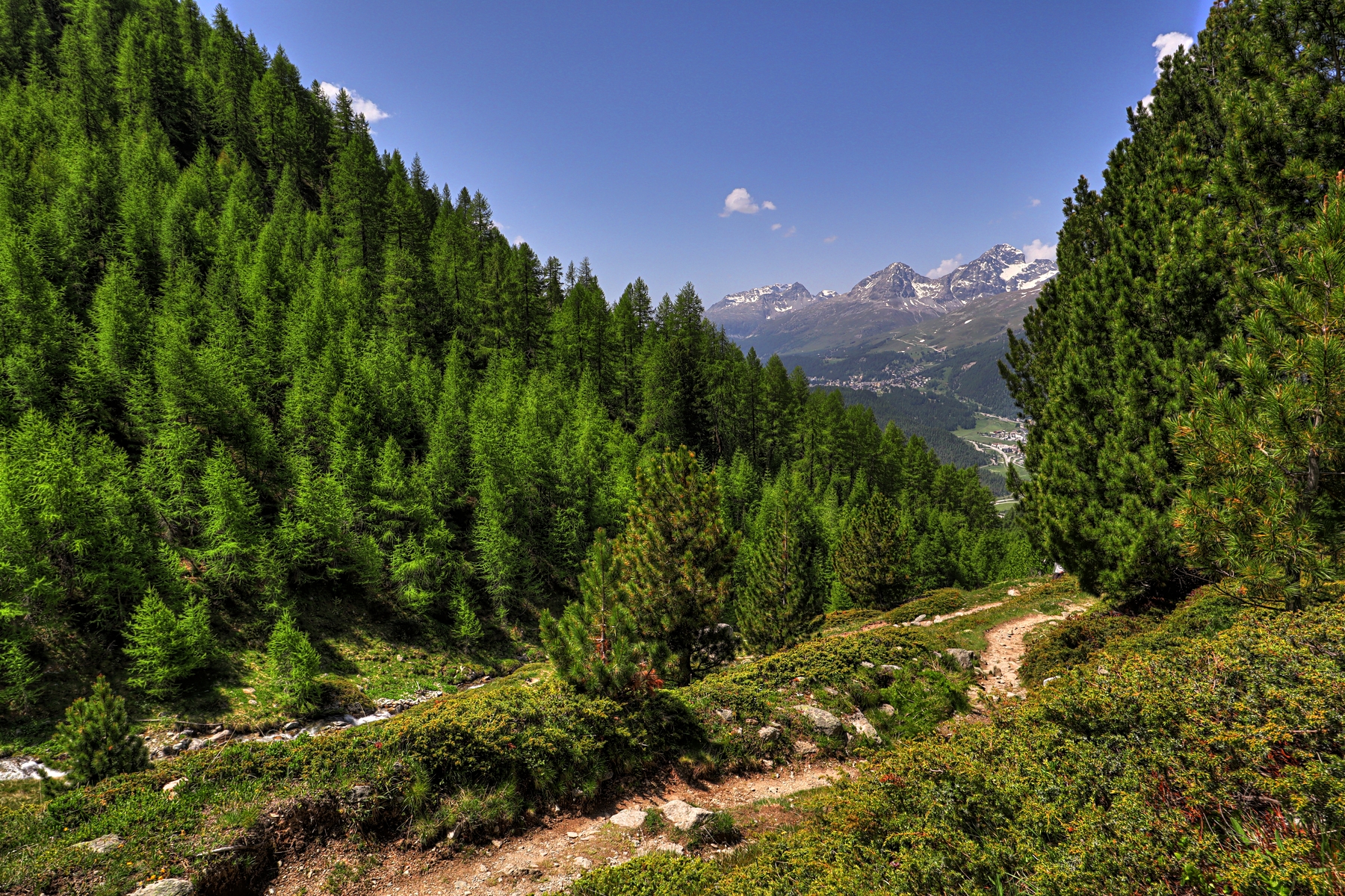 IMG_6590-hdr.jpg