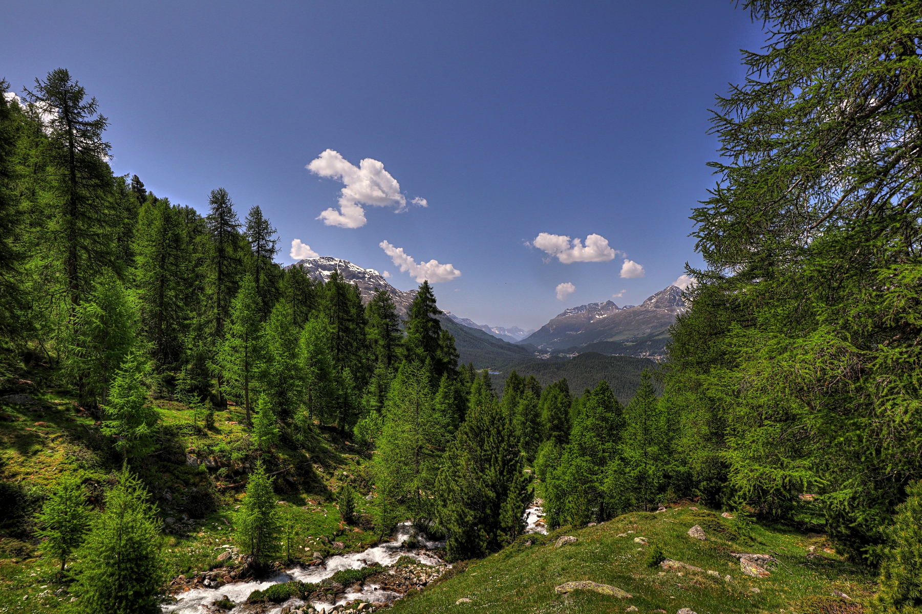 IMG_6593-hdr.jpg