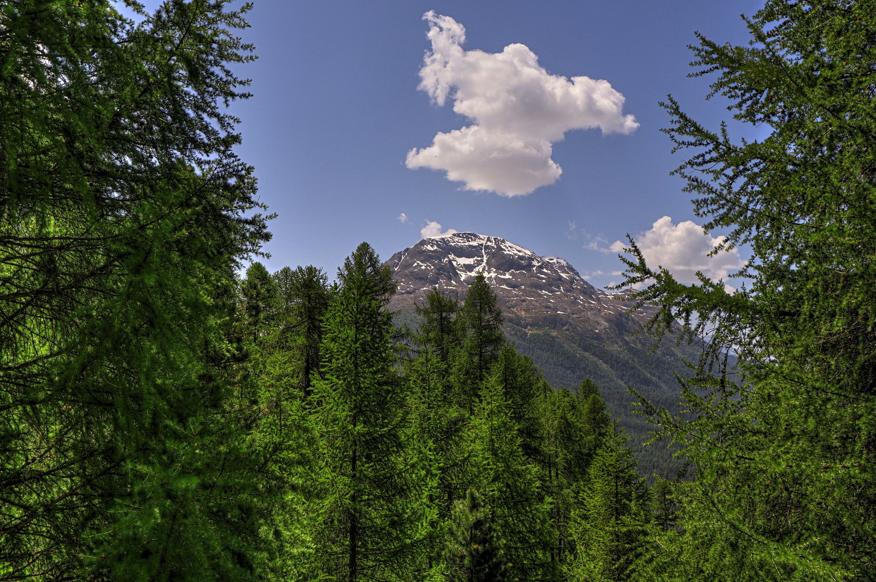 IMG_6596-hdr.jpg