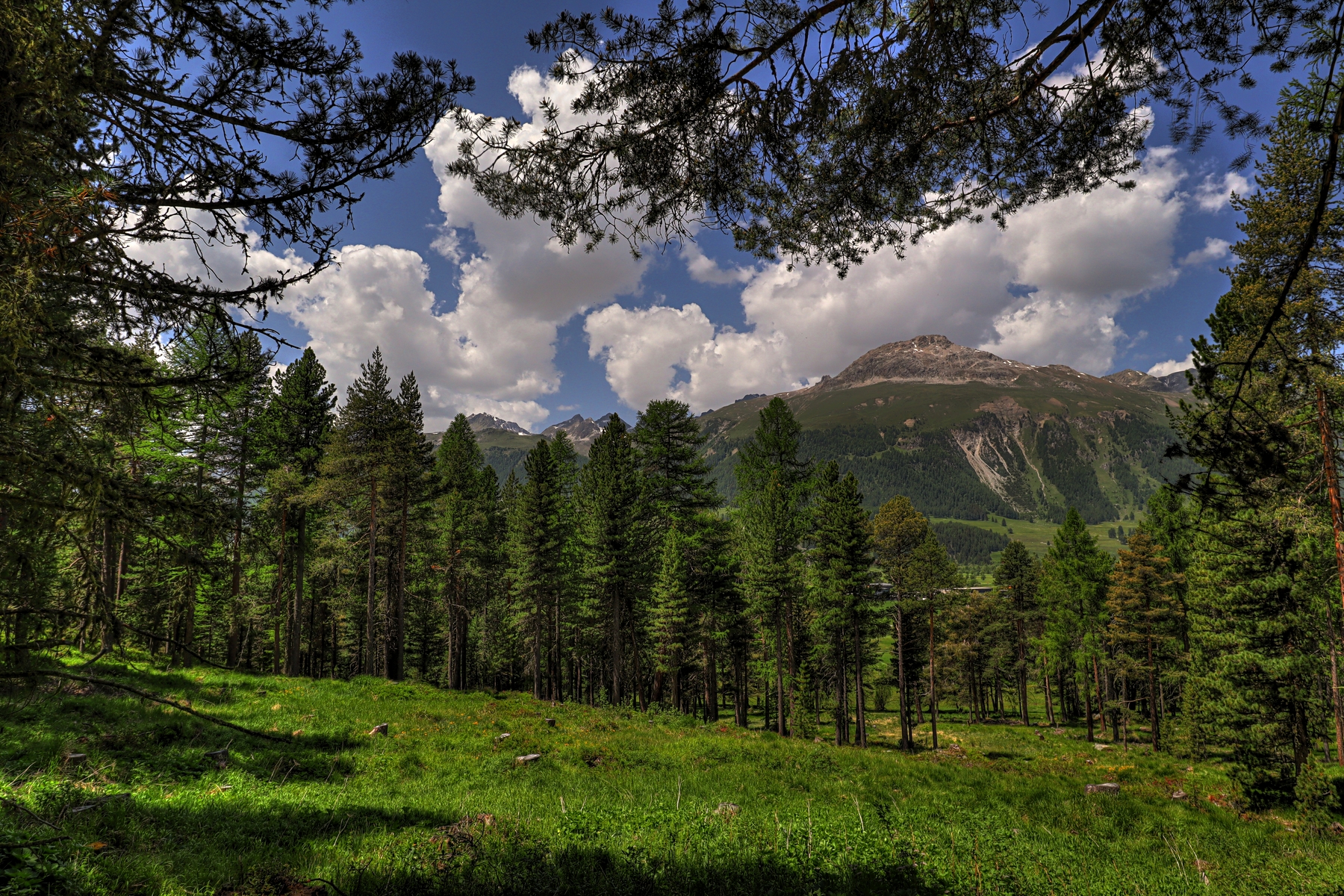 IMG_6599-hdr.jpg