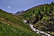 IMG_6584-hdr.jpg