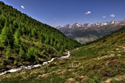 IMG_6587-hdr.jpg