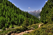 IMG_6590-hdr.jpg
