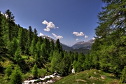 IMG_6593-hdr.jpg