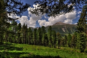 IMG_6599-hdr.jpg