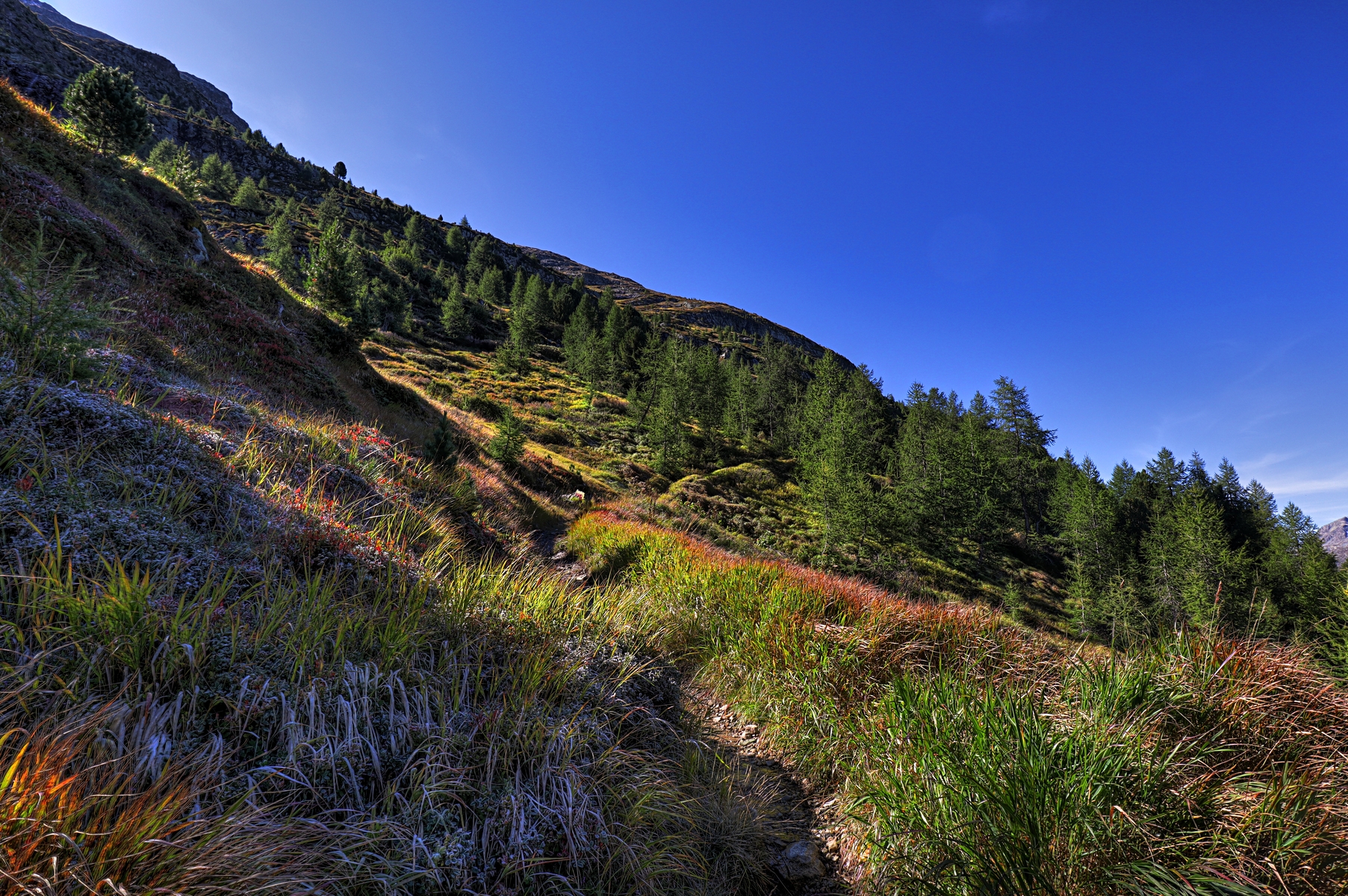 IMG_7310-hdr.jpg