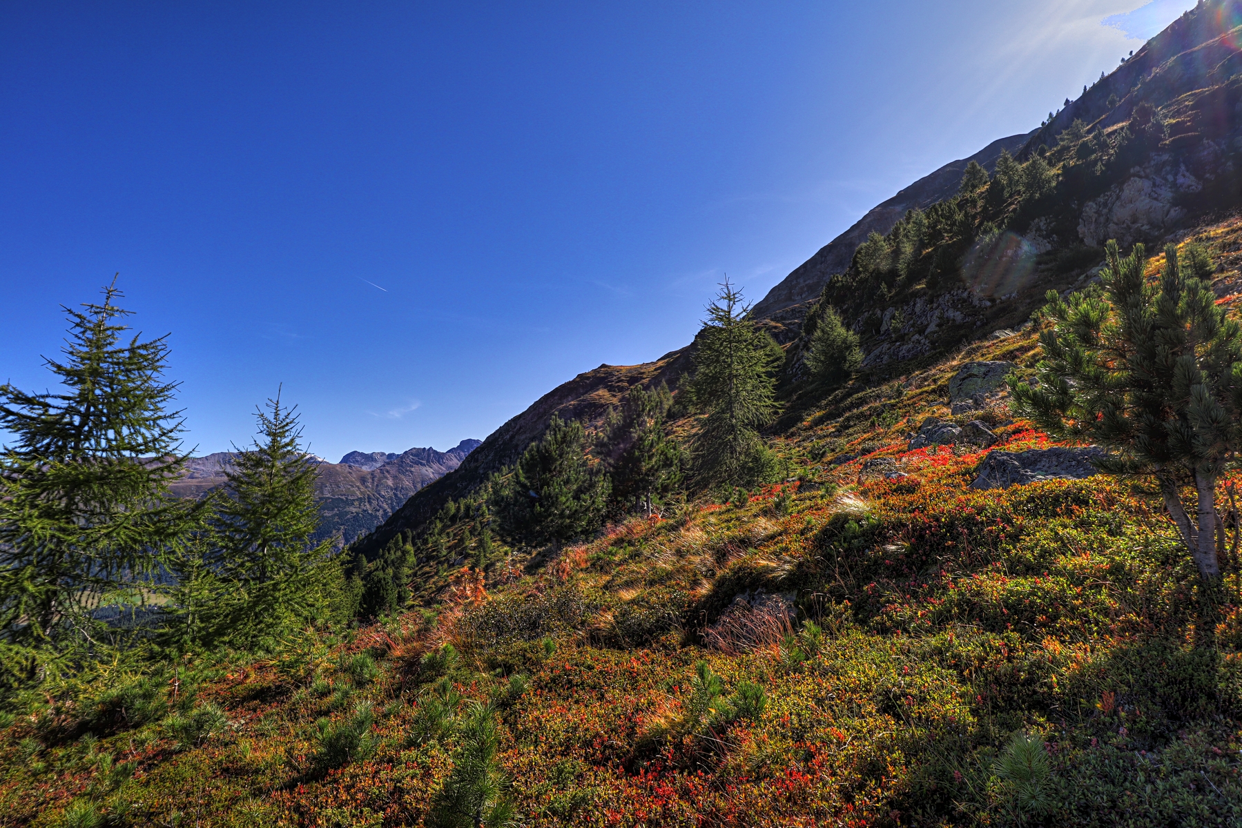 IMG_7322-hdr.jpg