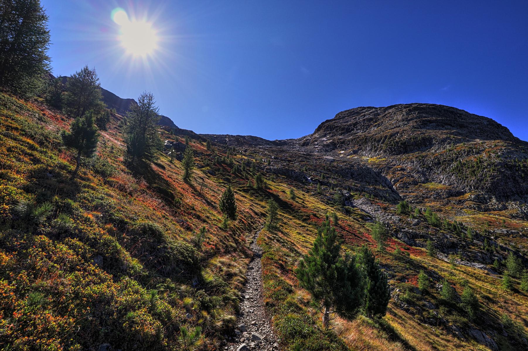 IMG_7328-hdr.jpg