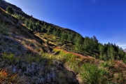 IMG_7310-hdr.jpg