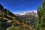 IMG_7316-hdr.jpg