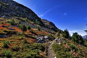 IMG_7319-hdr.jpg