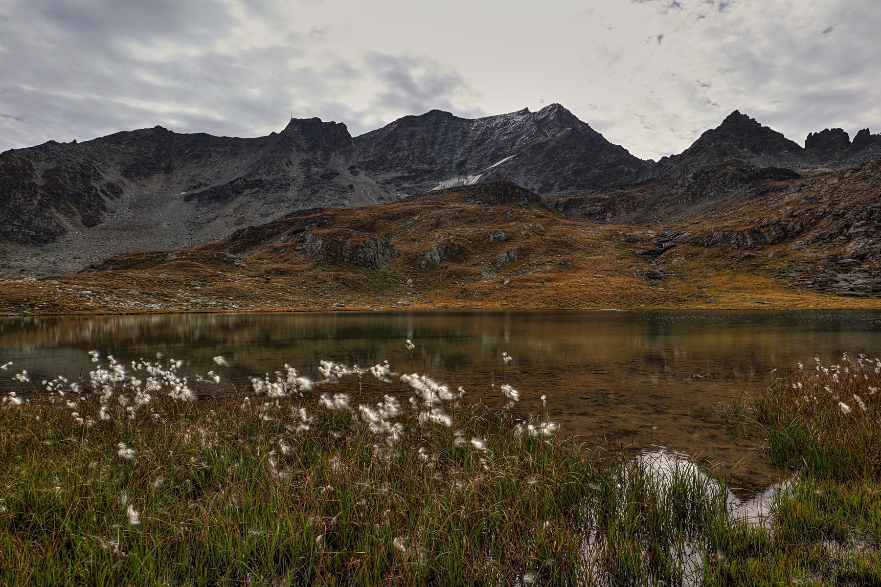 IMG_7415-hdr.jpg