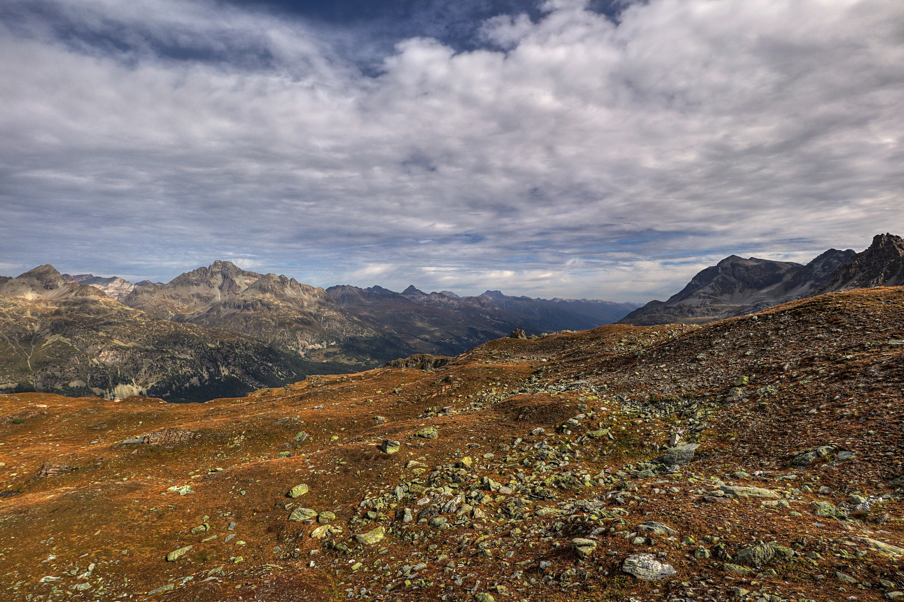 IMG_7424-hdr.jpg