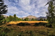 IMG_7391-hdr.jpg