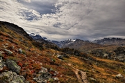 IMG_7469-hdr.jpg