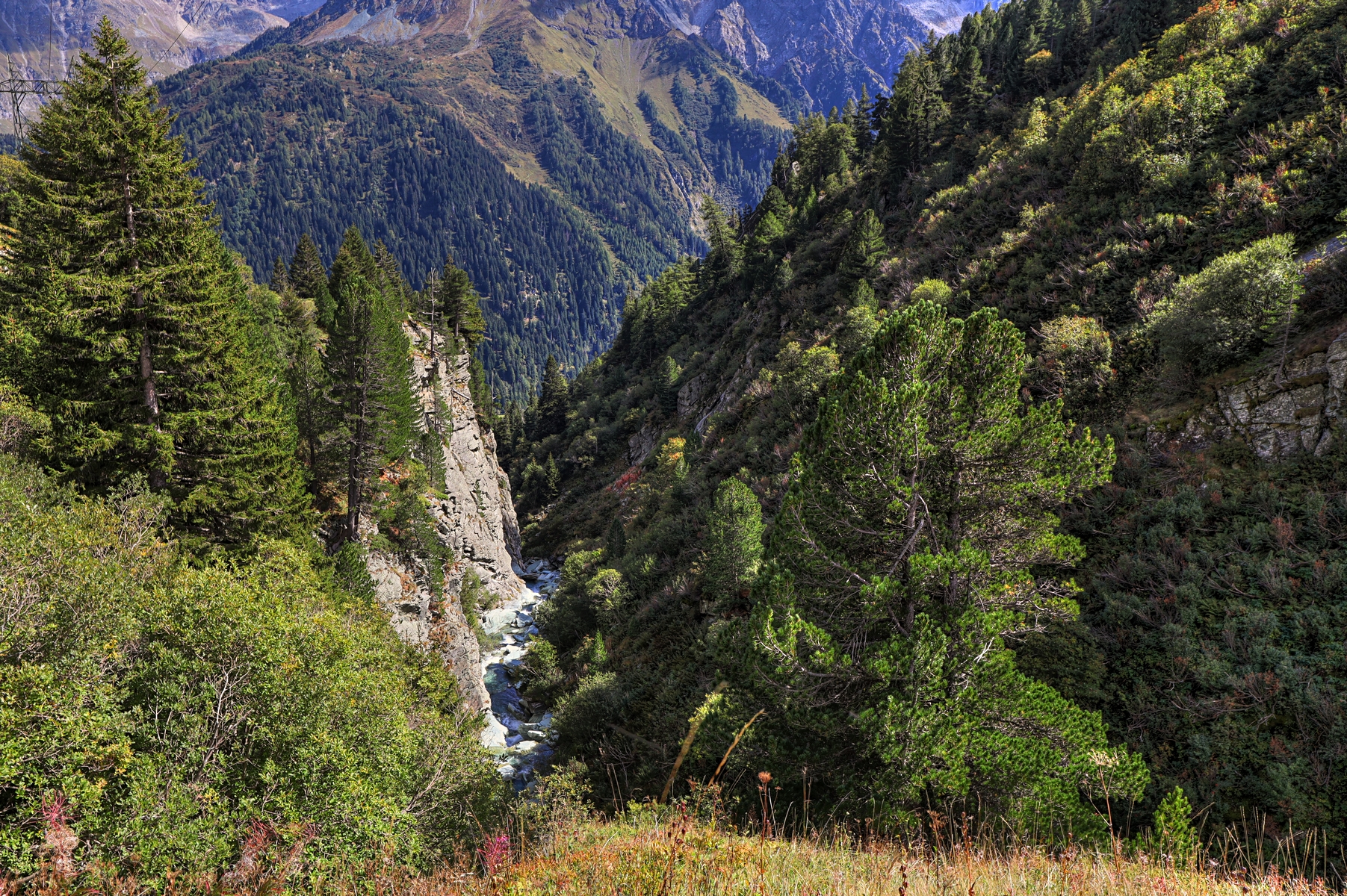 IMG_7766-hdr.jpg