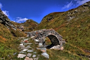 IMG_7742-hdr.jpg