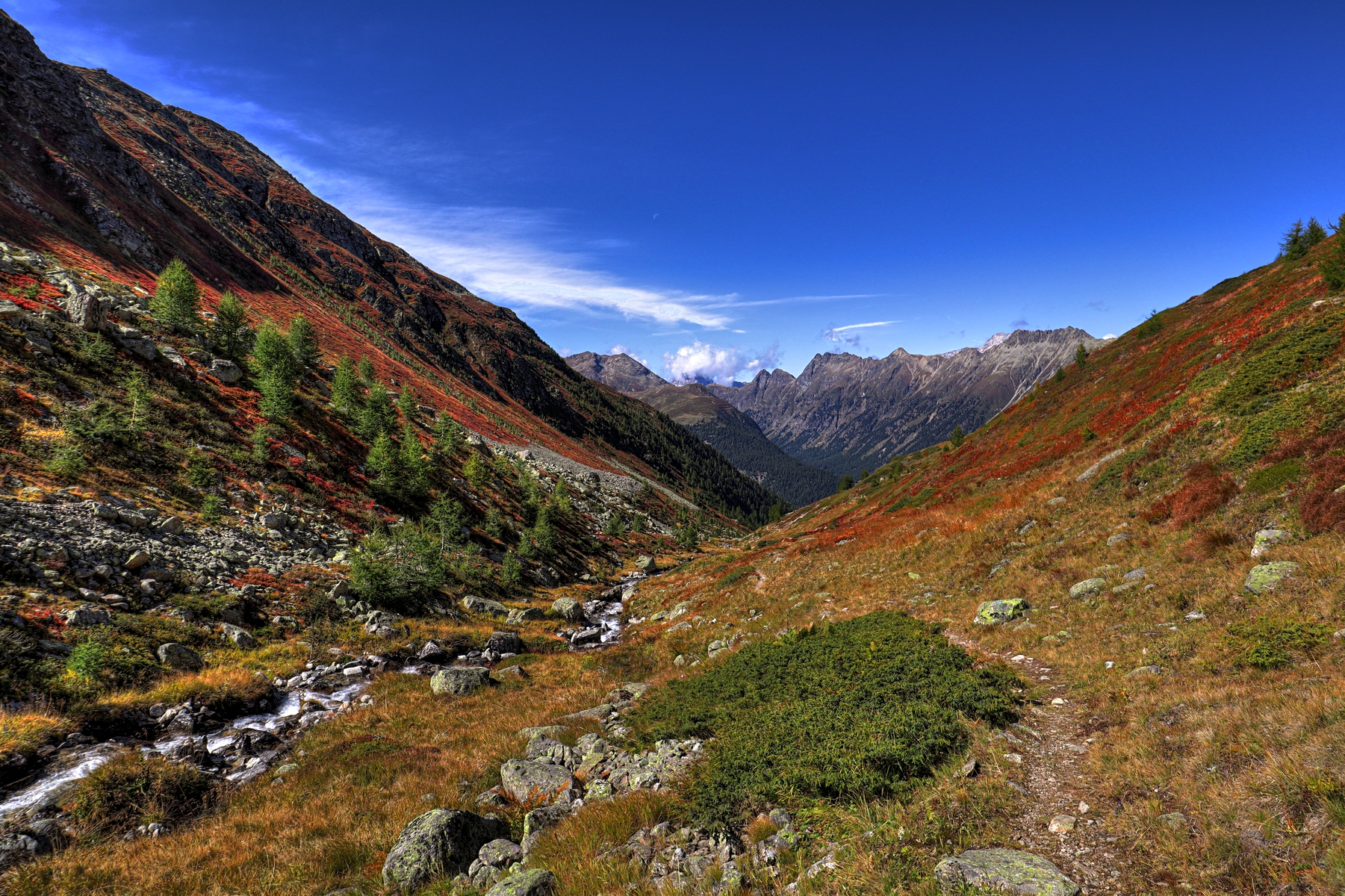 IMG_7901-hdr.jpg