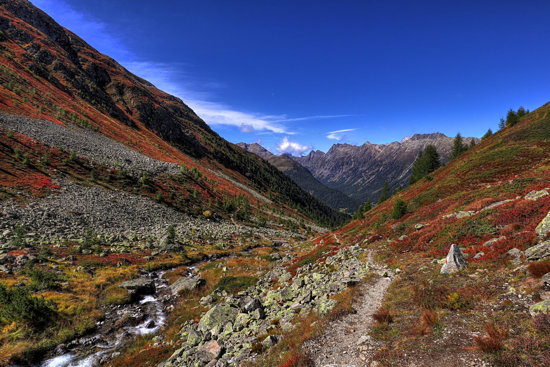 IMG_7904-hdr.jpg