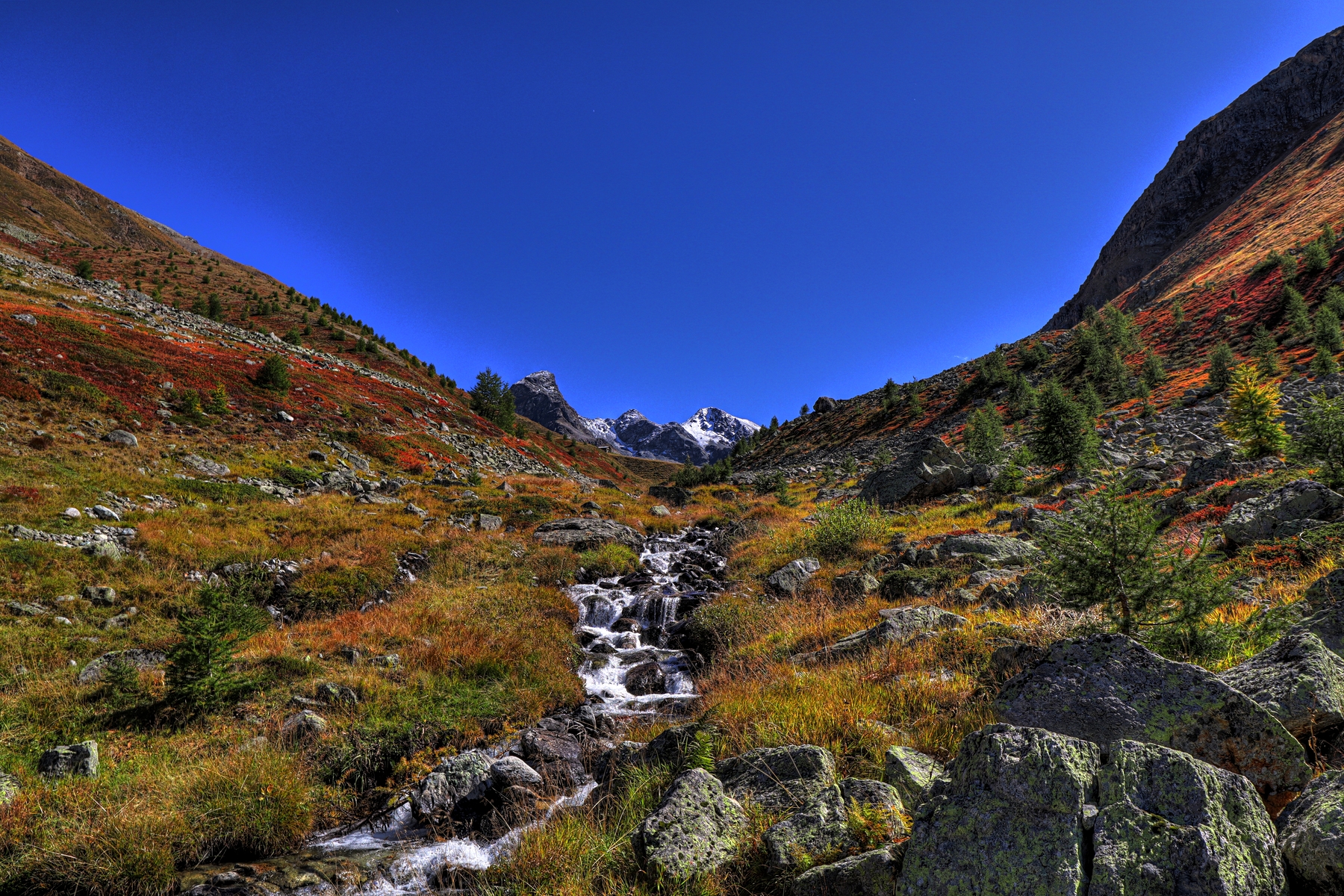 IMG_7907-hdr.jpg